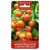 Томат Ленинградский скороспелый, Биотехника Томат Ленинградский скороспелый, Биотехника