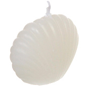 Свеча "Морская ракушка" 6х4,5, Белый Свеча "Морская ракушка" 6х4,5, Белый