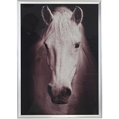 Панно Лошадь, 51х2,5х71 см,799869 Панно Лошадь, 51х2,5х71 см,799869