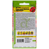 Астра Седая Дама Красная СА Астра Седая Дама Красная СА