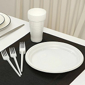  Набор "Пикник": тарелки d=20,5 см, стаканы 200 мл, вилки столовые 9080894 