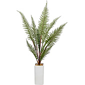  Папоротник в керамическом горшке, Д110 Ш110 В930 