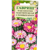  Астра Мацумото белая с розовым краем Гавриш 