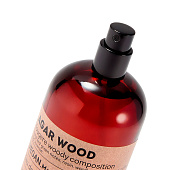  Туалетная вода Agar Wood мужская, 100 мл Delta Parfum 