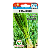 Лук батун Алтайский, СибСад Лук батун Алтайский, СибСад