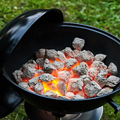  Брикеты длит.горения FORESTER  для розжига древесно-угольные 1,8кг 