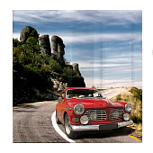  Картина стекло AG 30-49 