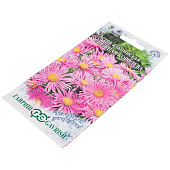 Астра альпийская Снежная королева розовая многолетняя, Гавриш Астра альпийская Снежная королева розовая многолетняя, Гавриш