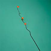  Интерьерный декор из бамбука, цветы пластик 200 см оранжевый   7779958 