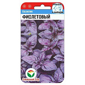 Базилик Фиолетовый СибСад Базилик Фиолетовый СибСад