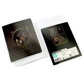 Тетрадь А5 48л скрепка клетка "S" Крутые пацаны, твин, конгрев, 023799 Тетрадь А5 48л скрепка клетка "S" Крутые пацаны, твин, конгрев, 023799