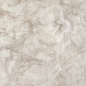 Обои 0.53х10м Концепт арт.907901 Коричневый фон /Elysium Обои 0.53х10м Концепт арт.907901 Коричневый фон /Elysium