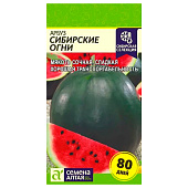 Арбуз Сибирские Огни/СА Арбуз Сибирские Огни/СА