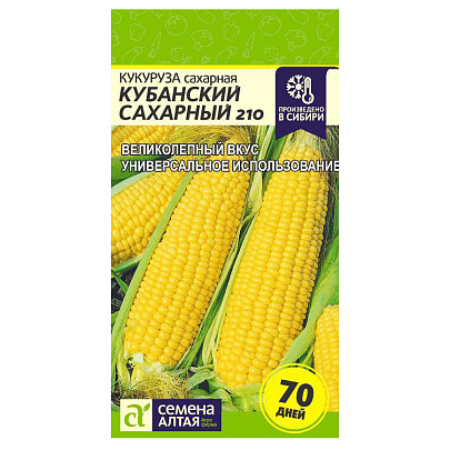 Кукуруза Кубанский Сахарный 210 СА Кукуруза Кубанский Сахарный 210 СА