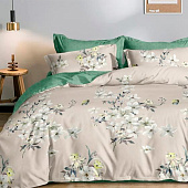  Комплект постельного белья 1,5 спальный Cleo Поплин Pure Cotton 15/009-PCE 