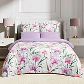  Комплект постельного белья 2 спальный Cleo поплин CH20/300-PCE 