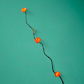 Интерьерный декор из бамбука, цветы пластик 200 см оранжево-желтый 7779956 Интерьерный декор из бамбука, цветы пластик 200 см оранжево-желтый 7779956