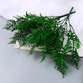 Букет искусственный «Папоротник декоративный галант», 31 см, МИКС 10084601 Букет искусственный «Папоротник декоративный галант», 31 см, МИКС 10084601