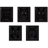 Тетрадь 48л. А5. Erich Krause, клетка, SoftTouch Gaze Mix-pack, 60619 Тетрадь 48л. А5. Erich Krause, клетка, SoftTouch Gaze Mix-pack, 60619