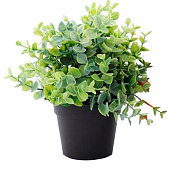  Искусственный цветок h=25см в кашпо 8х10см микс арт.19033-01655 Код261807 