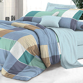 Комплект постельного белья 1,5 спальный Bella Vita Premium Эдуард поплин 1176 Комплект постельного белья 1,5 спальный Bella Vita Premium Эдуард поплин 1176