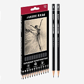  Набор карандашей чернографитных deVENTE Art 12шт.5030203 