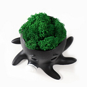 Кашпо бетонное Осминог со мхом, высота 7 см, d-6,5 см, черный, 10374753 Кашпо бетонное Осминог со мхом, высота 7 см, d-6,5 см, черный, 10374753