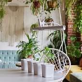 Подставка для светильника для растений на прищепке 600мм /ФитоЛето Подставка для светильника для растений на прищепке 600мм /ФитоЛето