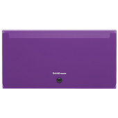 Папка на кнопке 12 отд. 260х135х25мм Check size 700мкм ErichKrause Diagonal Vivid  ассорти 50420