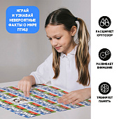 Мемо «Мир птиц» Мемо «Мир птиц»