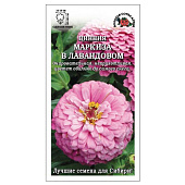 Цинния Маркиза в Лавандовом, ЗС Цинния Маркиза в Лавандовом, ЗС