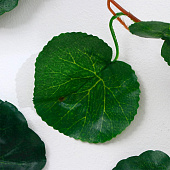 Искусственный цветок Лиана Лист волнистый 250 см 2589961 Искусственный цветок Лиана Лист волнистый 250 см 2589961