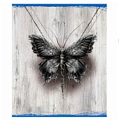 Тетрадь А5 48л скрепка клетка "S" Паутина, премиум 4+4+ламинация+УФ выборочный (песок), микс, 023850 Тетрадь А5 48л скрепка клетка "S" Паутина, премиум 4+4+ламинация+УФ выборочный (песок), микс, 023850