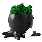 Кашпо бетонное Осминог со мхом, высота 7 см, d-6,5 см, черный, 10374753 Кашпо бетонное Осминог со мхом, высота 7 см, d-6,5 см, черный, 10374753