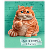 Тетрадь 48л А5 клетка ЭКСМО Осторожно, кот!