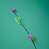 Интерьерный декор из бамбука, цветы пластик 200 см сиреневый 7779957 Интерьерный декор из бамбука, цветы пластик 200 см сиреневый 7779957