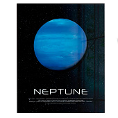 Картина стекло AG 40-258 Картина стекло AG 40-258