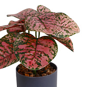 Искусственный цветок в горшке Аглаонема колор 7,5х15 см 10084573 Искусственный цветок в горшке Аглаонема колор 7,5х15 см 10084573