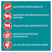 Влажный корм для кошек ONE Говядина с Морковью 75г
