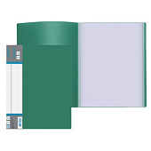  Папка пластиковая 20 прозрач. вклад. А4 500мкм deVENTE Daily карман на корешке, зеленая (1135) 3101406 