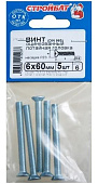  Винт оцинк.пот. DIN 965  М 6х60 (5шт) 