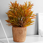  Искусственный цветок в горшке «Хамедорея экстра», 8?24 см, МИКС 