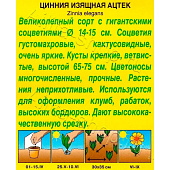 Цинния Ацтек ВХ Цинния Ацтек ВХ