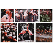  Картина модульная Фламинго, на подрамнике, 80х140 см, 9536693 
