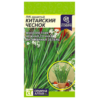 Лук Душистый Китайский Чеснок СА Лук Душистый Китайский Чеснок СА