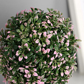 Искусственный цветок в горшке Цветные листочки 10х19 см, микс 1659309 Искусственный цветок в горшке Цветные листочки 10х19 см, микс 1659309