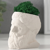 Кашпо бетонное Прометей со мхом, 6,5х5 см, белый, 10412081 Кашпо бетонное Прометей со мхом, 6,5х5 см, белый, 10412081