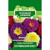 Астра помпонная Сентябрьский букет ОИ Поиск Астра помпонная Сентябрьский букет ОИ Поиск