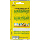 Хризантема букетная Торжество, Аэлита Хризантема букетная Торжество, Аэлита