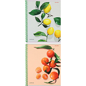 Тетрадь 48л. А5 гребень клетка мелованная обложка Фруктовая экстетика-1, 48-8717 Тетрадь 48л. А5 гребень клетка мелованная обложка Фруктовая экстетика-1, 48-8717